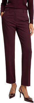 Marella Broek MLLTECNICO
