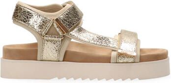 Maruti Broek 66.1653.02 Beau Gold