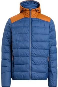 Mckinley Blazer Erika