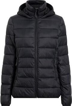 Mckinley Windjack Erika