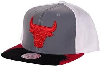 Mitchell And Ness Pet Chicago Bulls