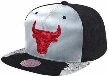 Mitchell And Ness Pet Day 5 Snapback Chicago Bulls