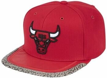 Mitchell And Ness Pet Nba Chicago Bulls Day 3