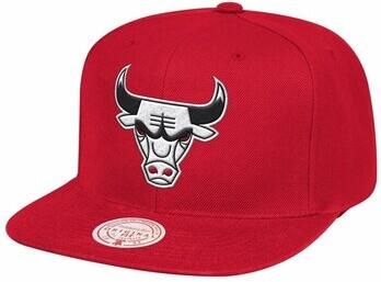 Mitchell And Ness Pet Nba Team Ground Chicago Bulls