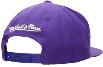 Mitchell And Ness Pet Team Ground