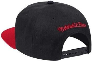 Mitchell And Ness Pet Toronto Raptors