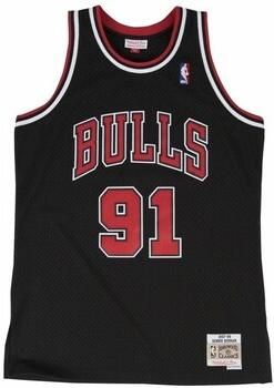Mitchell & Ness Nba Swingman Alternate Jersey Chicago Bulls 1997-98 Dennis Rodman Jersey's Kleding black maat: S beschikbare maaten:S - Foto 2
