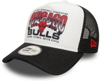 New-Era Pet Nba Team