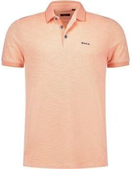 New zealand auckland T-shirt NZA Polo Corbin Soft Tagerine