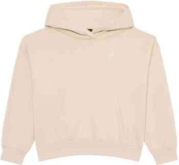 Nike Capuchon sweaters 077-52321871167827