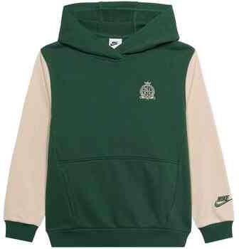 Nike Capuchon sweaters IV5263-323