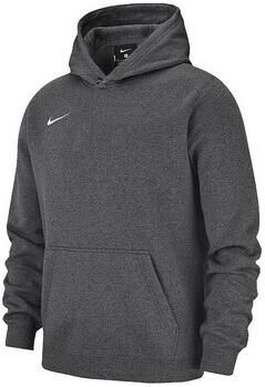 Nike Capuchon sweaters JR Park 20 Fleece