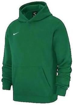 Nike Capuchon sweaters Park 20