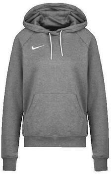 Nike Capuchon sweaters Park 20