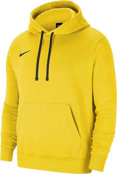Nike Capuchon sweaters Team Park 20 Hoodie
