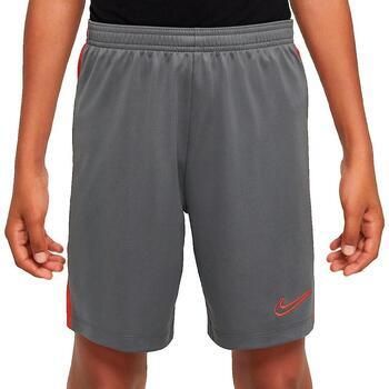 Nike Korte Broek Dri-Fit Academy