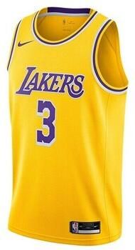 Nike T-shirt Korte Mouw Nba Los Angeles Lakers Anthony Davis Swingman