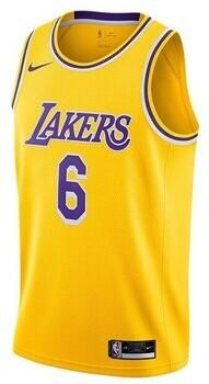 Nike T-shirt Korte Mouw Nba Los Angeles Lakers Lebron James Swingman