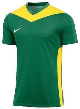 Nike Zwembroek Park Derby Iv