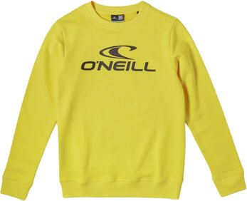 O'Neill Sweater