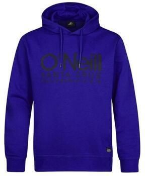 O'Neill Sweater