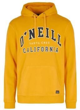 O'Neill Sweater