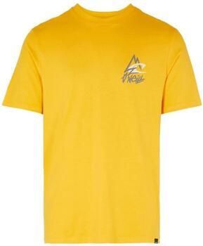 O'Neill T-shirt