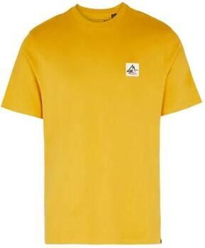 O'Neill T-shirt
