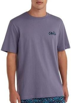 O'Neill T-shirt Korte Mouw Framed