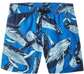 O'Neill zwemshort Cali blauw Jongens Gerecycled polyester (duurzaam) All over print 140