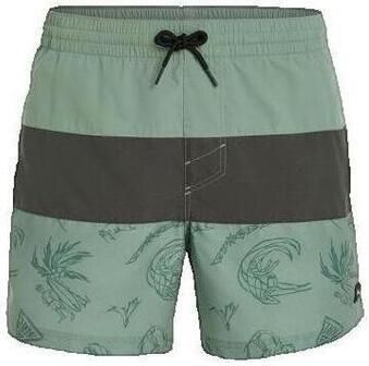 O'Neill Zwembroek Short de bain Mix Match Cali Block 15'' - Foto 3