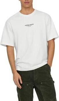 ONLY & SONS Shirt met ronde hals ONSCURATED RLX PRINT SS TEE
