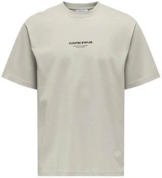 ONLY & SONS Shirt met ronde hals ONSCURATED RLX PRINT SS TEE