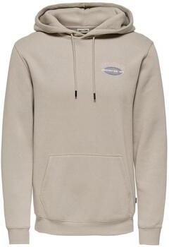 Only & Sons Trui Only & Sons Keane Hoodie