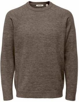 ONLY & SONS Trui met ronde hals ONSTHOMAS REG CREW NECK KNIT OTL
