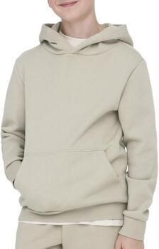 Only & Sons Capuchon sweaters Only & Sons Jceres Hoodie