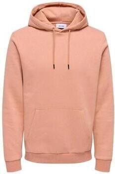 Only & Sons Capuchon sweaters Only & Sons Ceres 22018685
