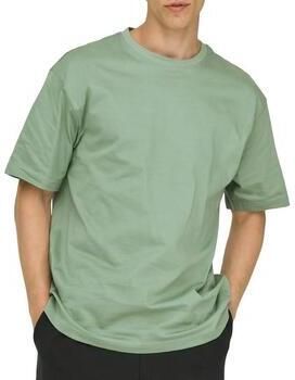 Only & Sons T-shirt Korte Mouw Only & Sons Jeff Rlx