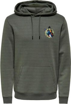 Only & Sons Trui Only & Sons Keane Hoodie