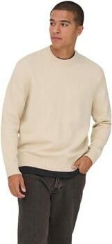 Only & Sons Trui Only & Sons Onsjames Rlx Crew Knit Noos 22033783 - Foto 10