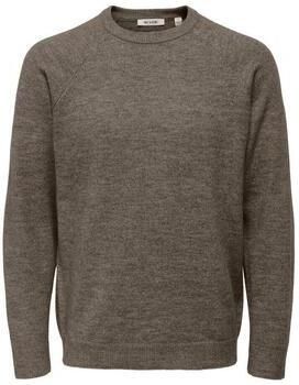 ONLY & SONS Trui met ronde hals ONSTHOMAS REG CREW NECK KNIT OTL