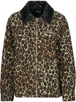 Only Windjack ONLIVRA CANVAS