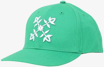 Oxbow Pet Baseball pet ESGAT