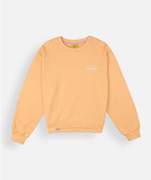 Oxbow Sweater Geborduurde trui SARDI