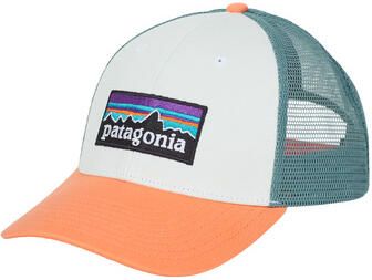 Patagonia Pet P-6 LOGO LOPRO TRUCKER HAT