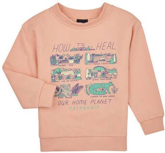 Patagonia Sweater Baby LW Crew Sweatshirt