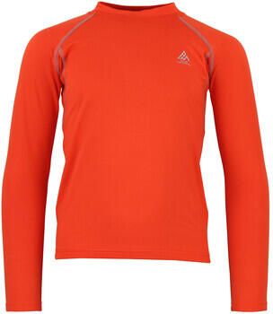 Peak Mountain T-Shirt Lange Mouw Top technique ECANJIM