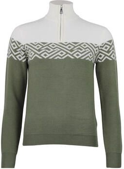 Peak Mountain Trui Pull col roulé AKAR