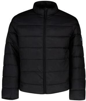 Pepe Jeans Regular fit gewatteerd jack met opstaande kraag