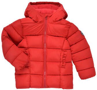 Petit Bateau Donsjas TYLA